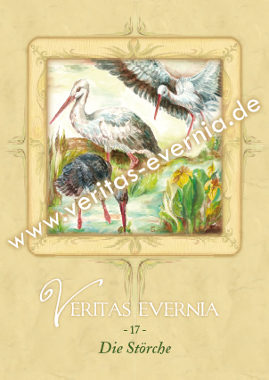 Card 17 - Stork